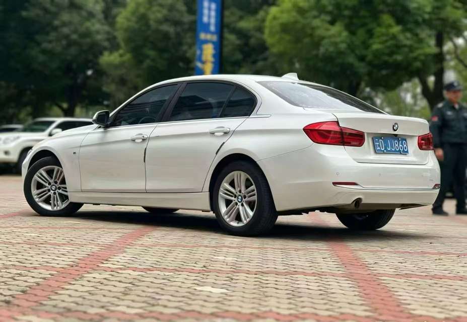 BMW 3 Series 320Li 3