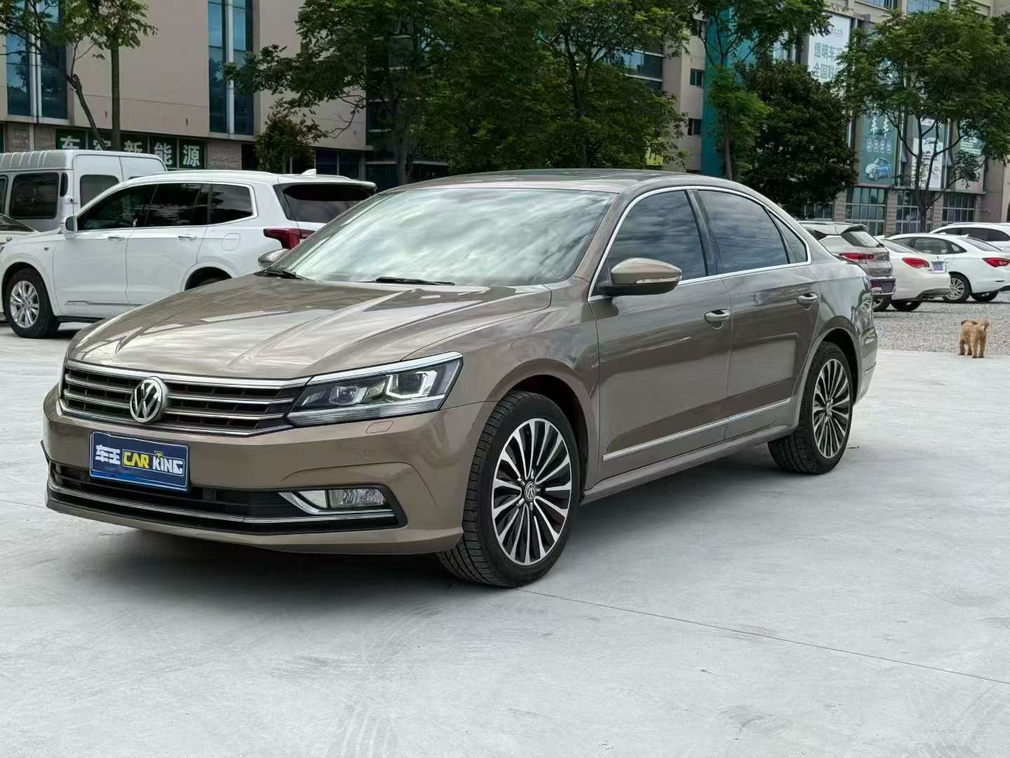 Volkswagen Passat 1.8TSI 330TSI Yuzun Edition 6