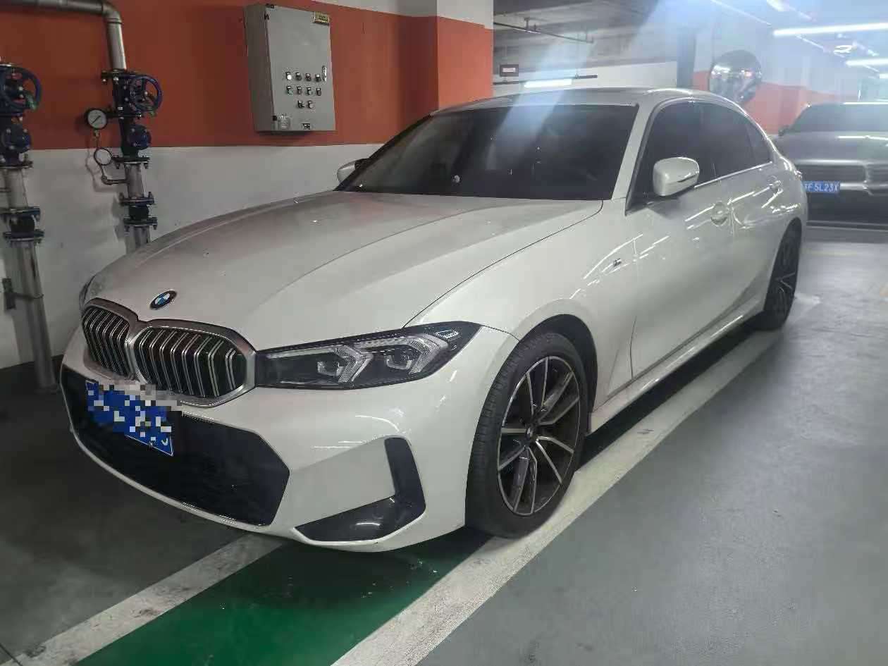 BMW 3 Series 320Li