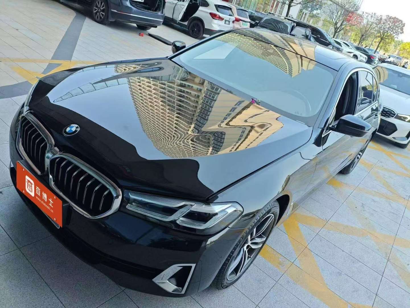 BMW 5 Series 530Li Leading Luxury Package 2.0T