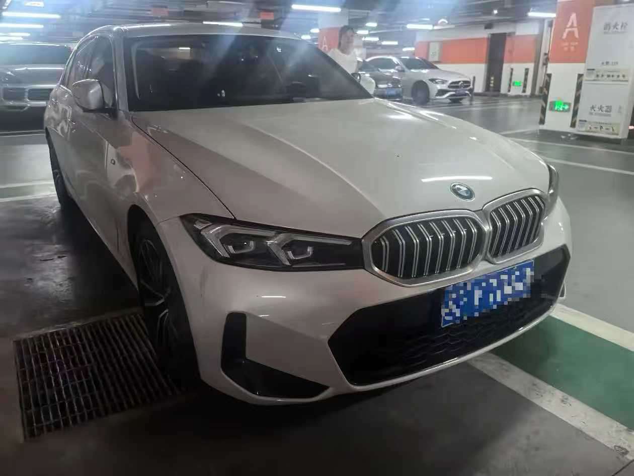 BMW 3 Series 320Li 2