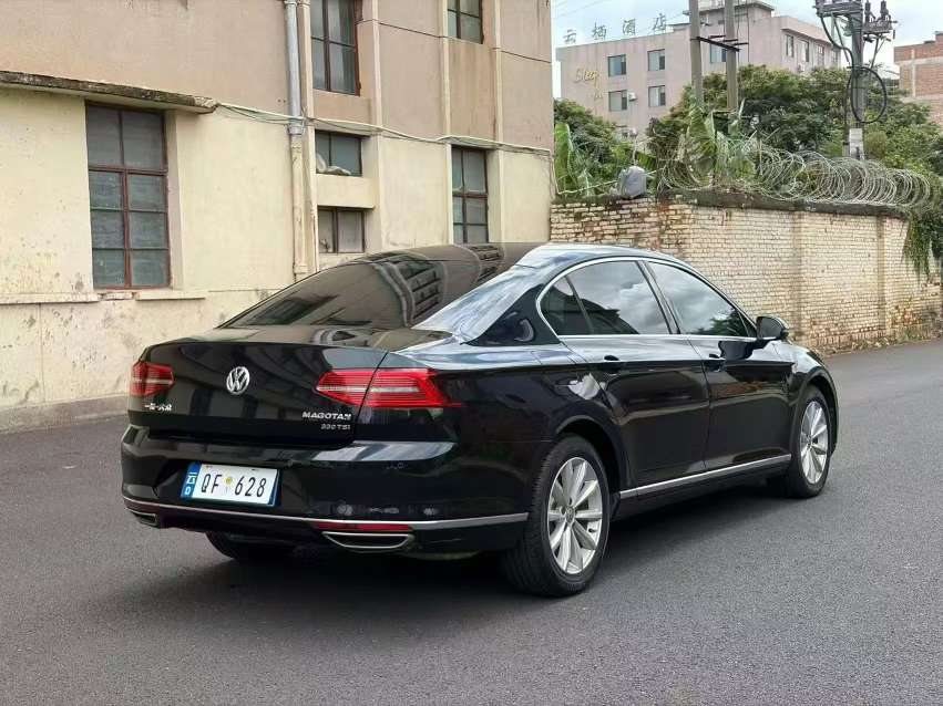 Volkswagen Magotan 2.0T Leading Edition 6