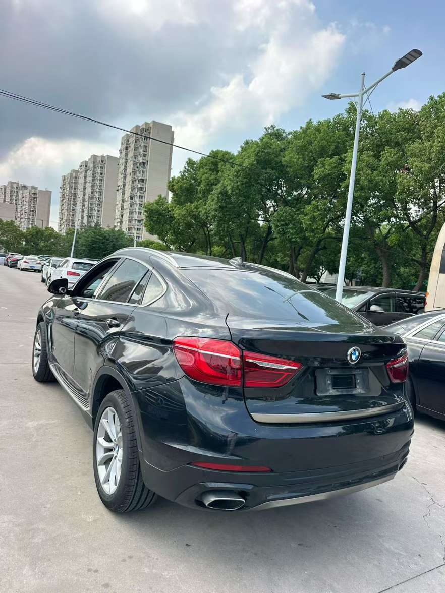 BMW X6 3.0T Luxury 3