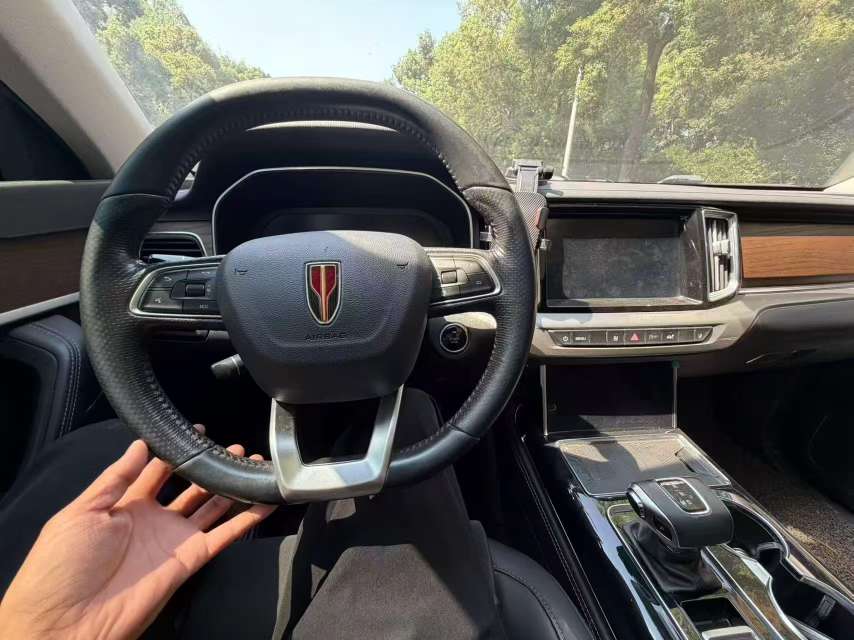 Hongqi HS7 HS7 9