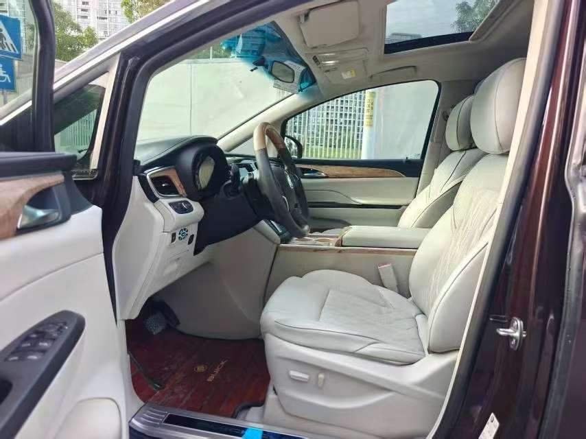 Buick GL8 ES Comfort Edition 5