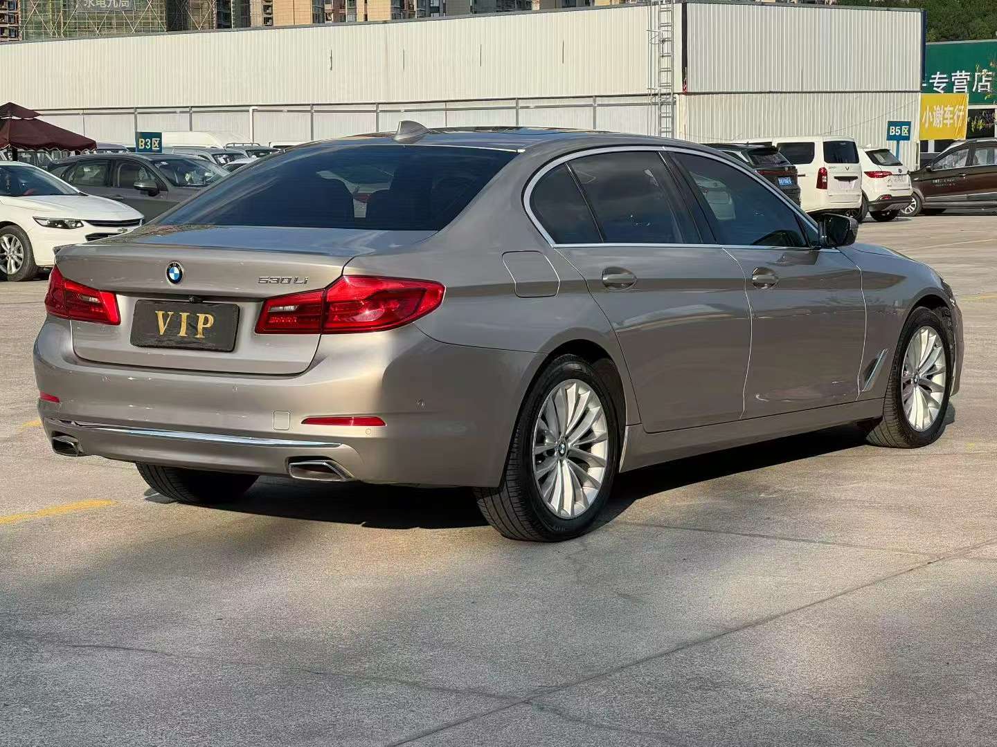 BMW 5 Series 530Li Leading Luxury Edition 7