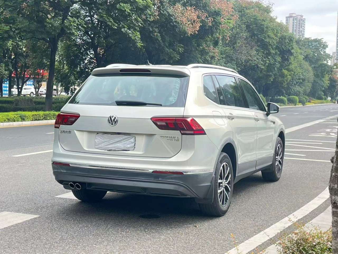 Volkswagen Tiguan L 1.8T Luxury Edition 6