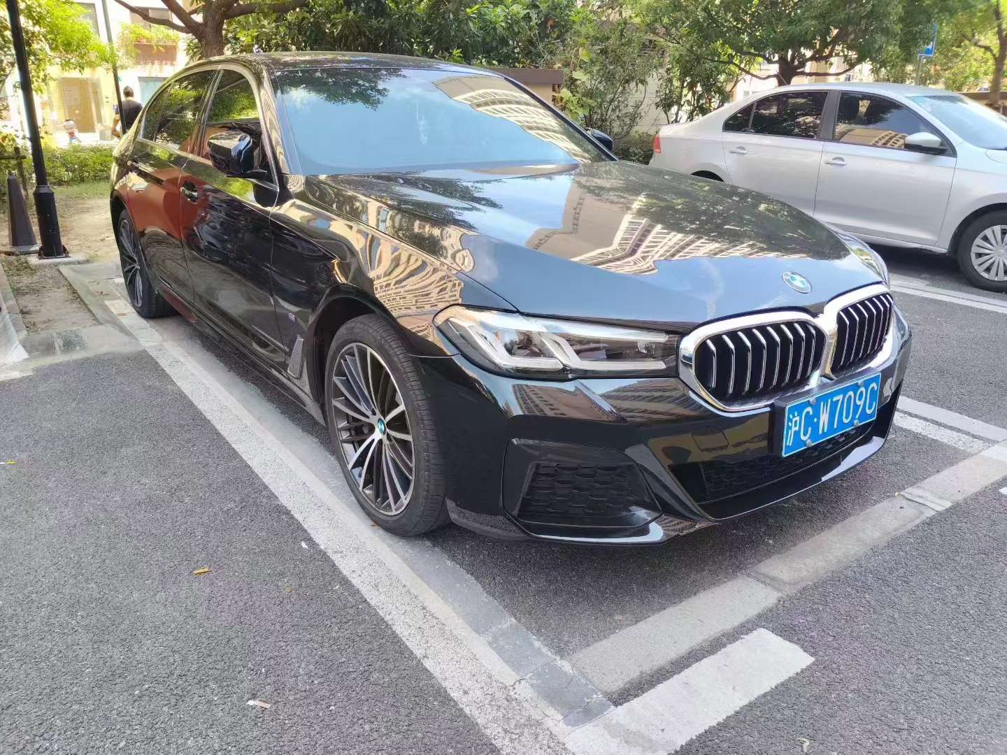 BMW 5 Series 530Li Leading Luxury Package 3