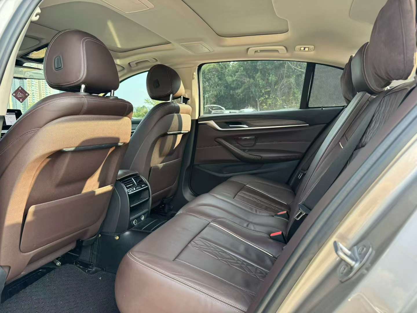 BMW 5 Series 530Li Leading Luxury Edition 6