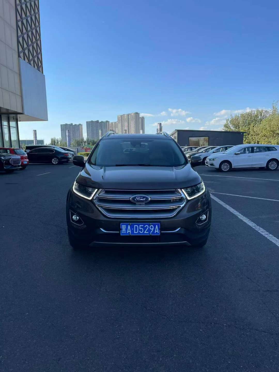 Ford Edge 2016 Special Edition