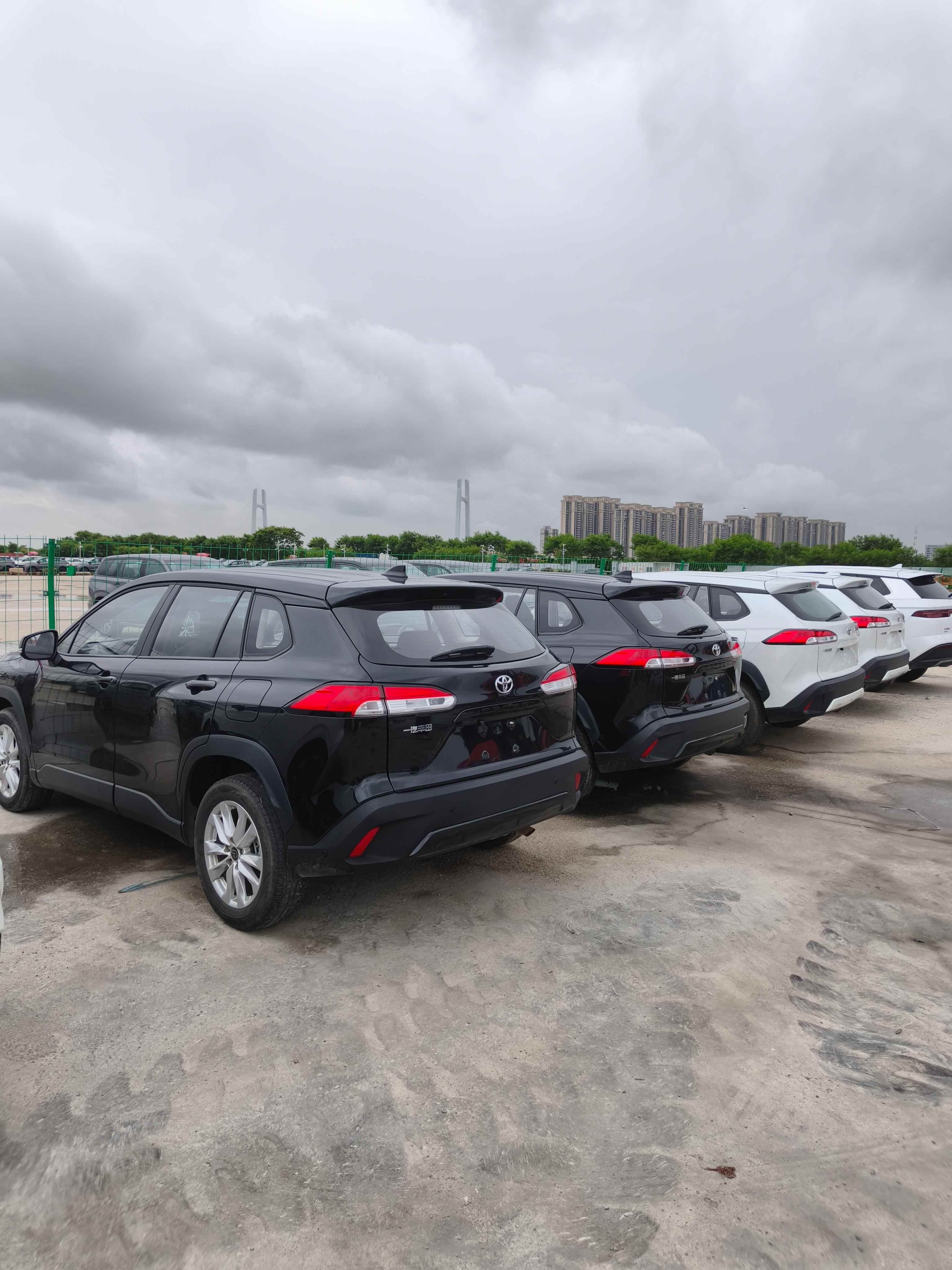 Toyota Corolla Cross 2025MY 1.8L Intelligent Hybrid Twin-Engine Pioneer Edition 3