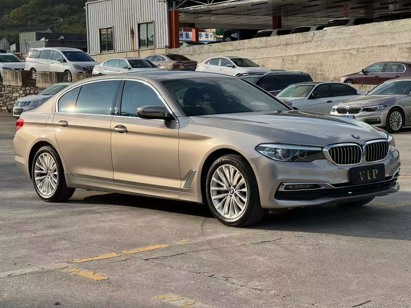 BMW 5 Series 530Li Leading Luxury Edition 3