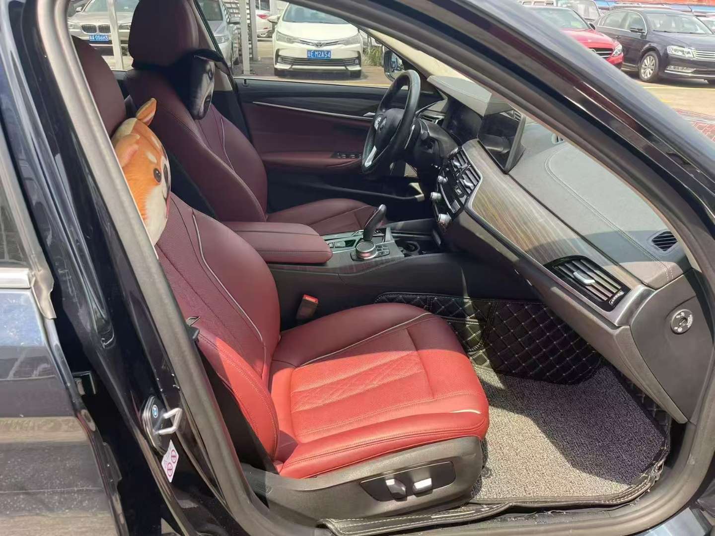 BMW 5 Series 530Li Leading Luxury Package 5