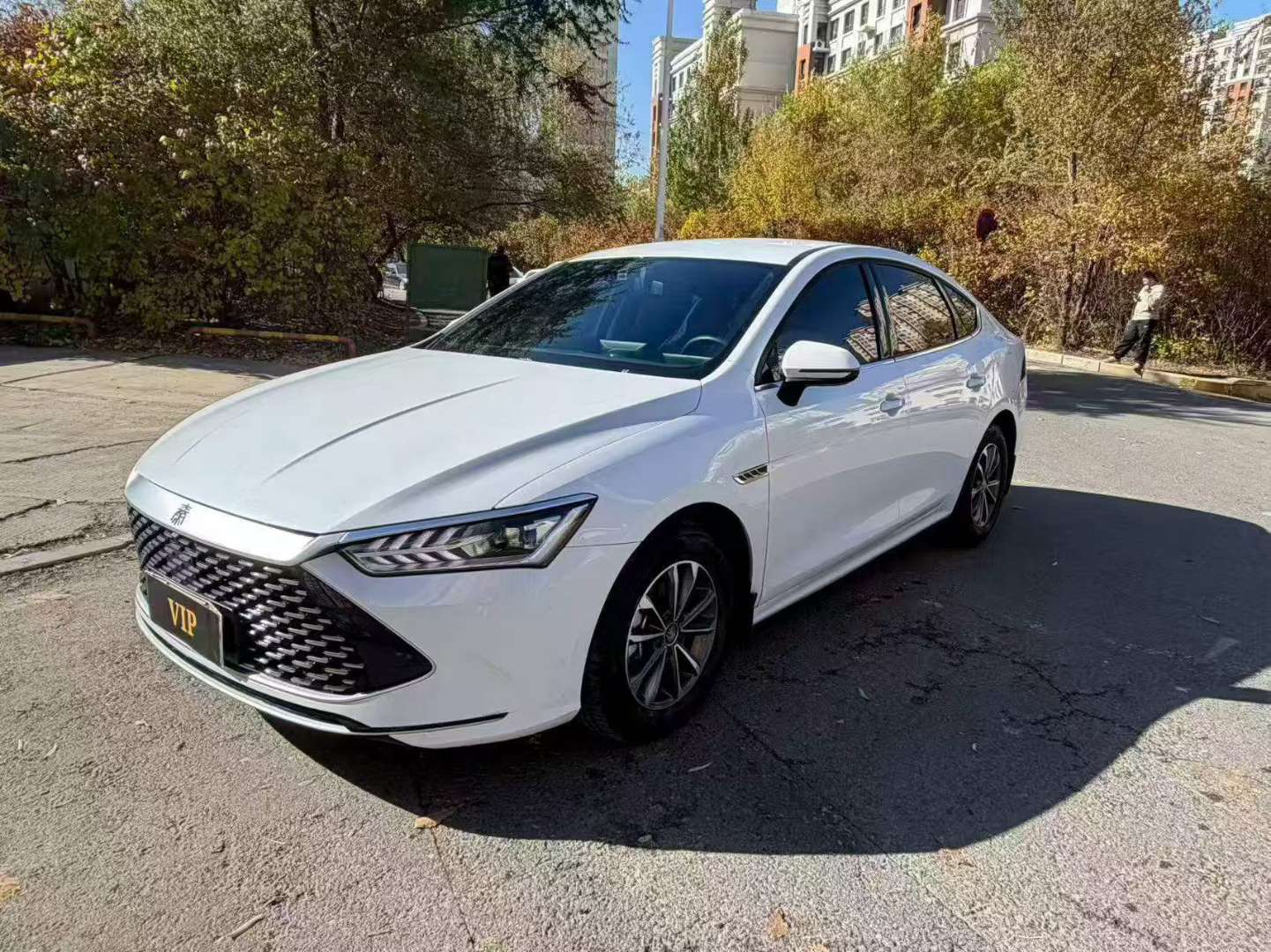 BYD Qin PLUS 2025 1.5 Plug-in Hybrid 3