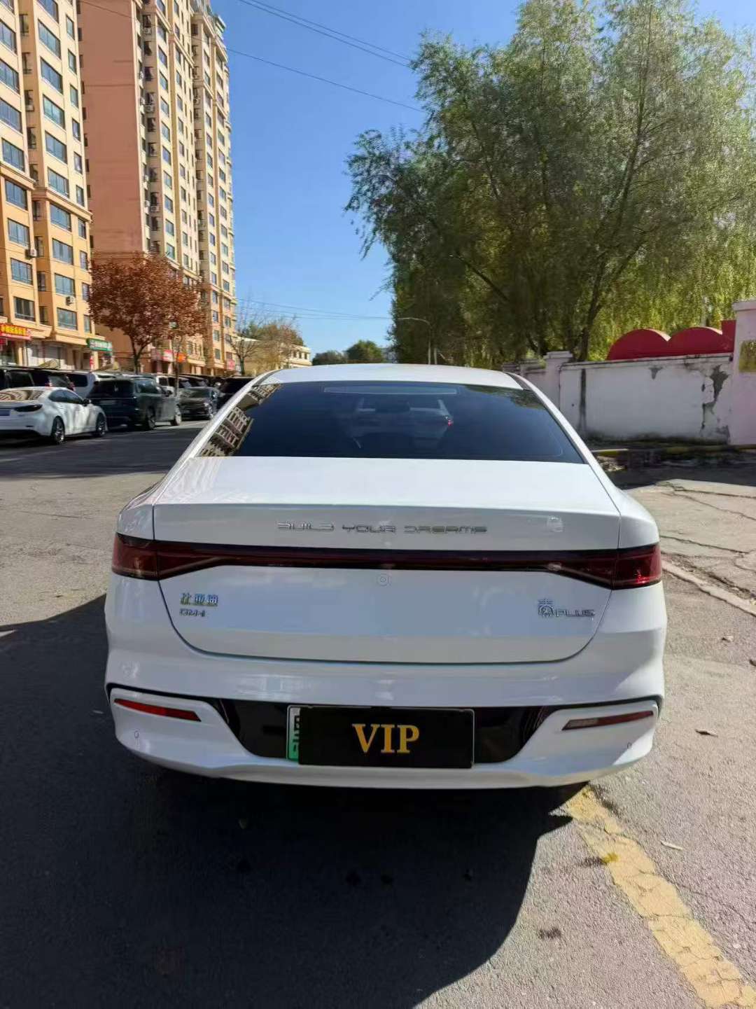 BYD Qin PLUS 2025 1.5 Plug-in Hybrid 8