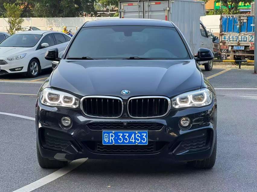 BMW X6 2019 xDrive35i Luxury M Sport Package Top Trim