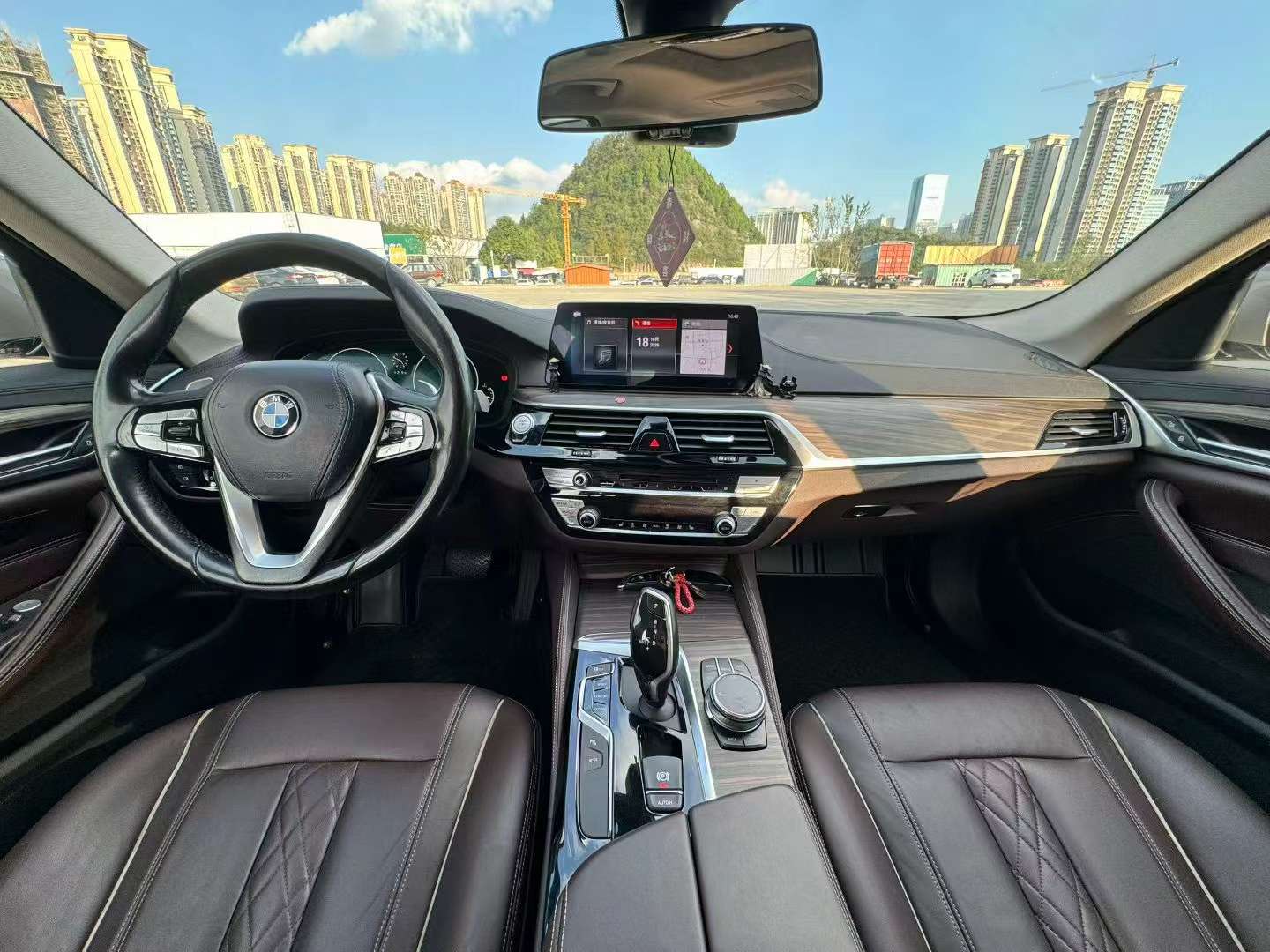 BMW 5 Series 530Li Leading Luxury Edition 5