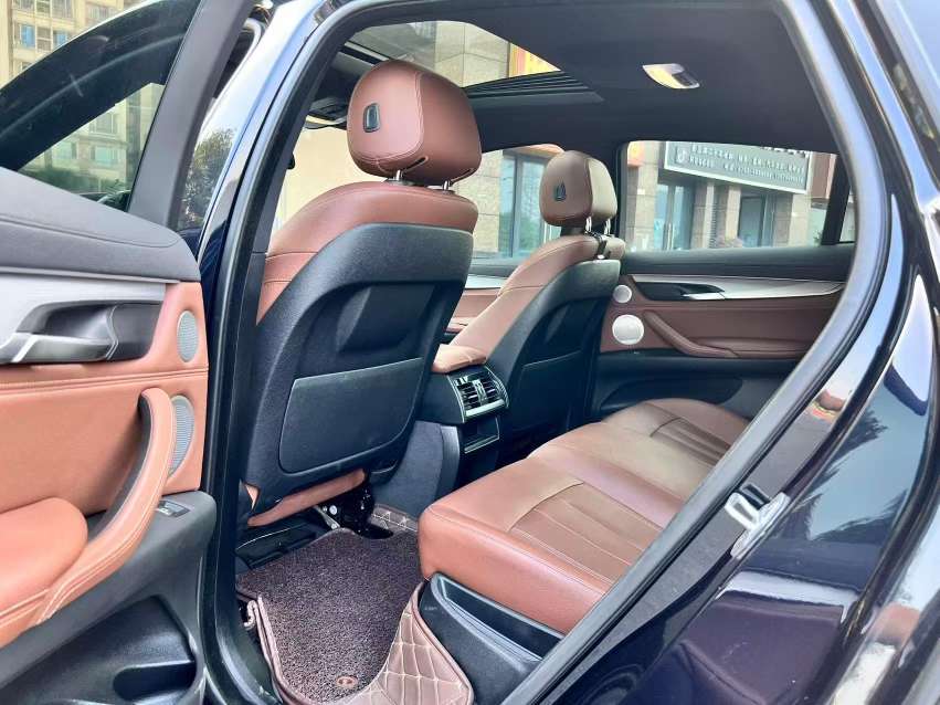 BMW X6 2019 xDrive35i Luxury M Sport Package Top Trim 8