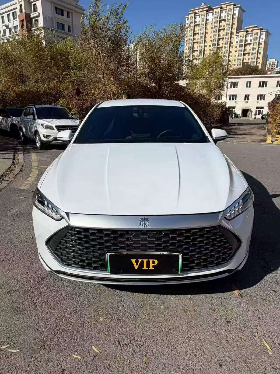BYD Qin PLUS 2025 1.5 Plug-in Hybrid 2
