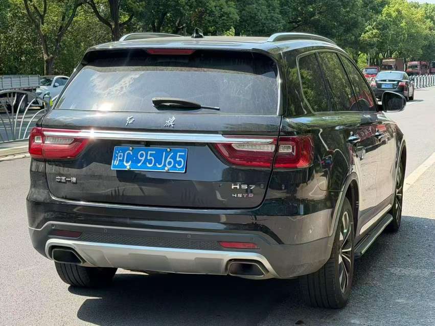 Hongqi HS7 HS7 6