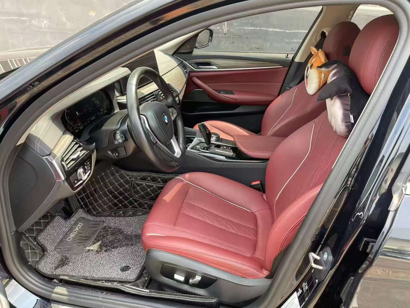 BMW 5 Series 530Li Leading Luxury Package 7