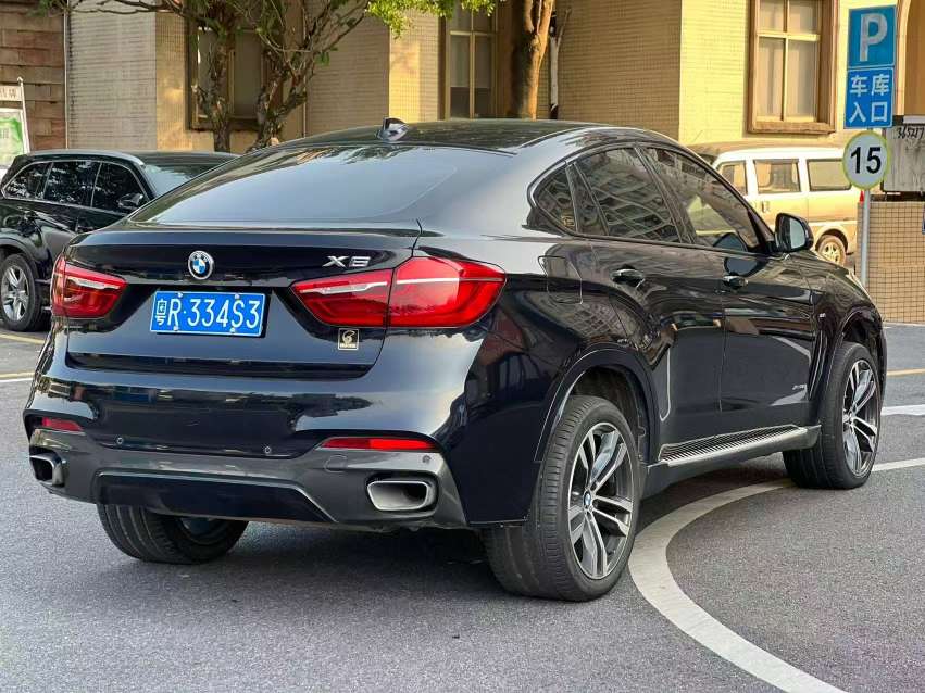 BMW X6 2019 xDrive35i Luxury M Sport Package Top Trim 3