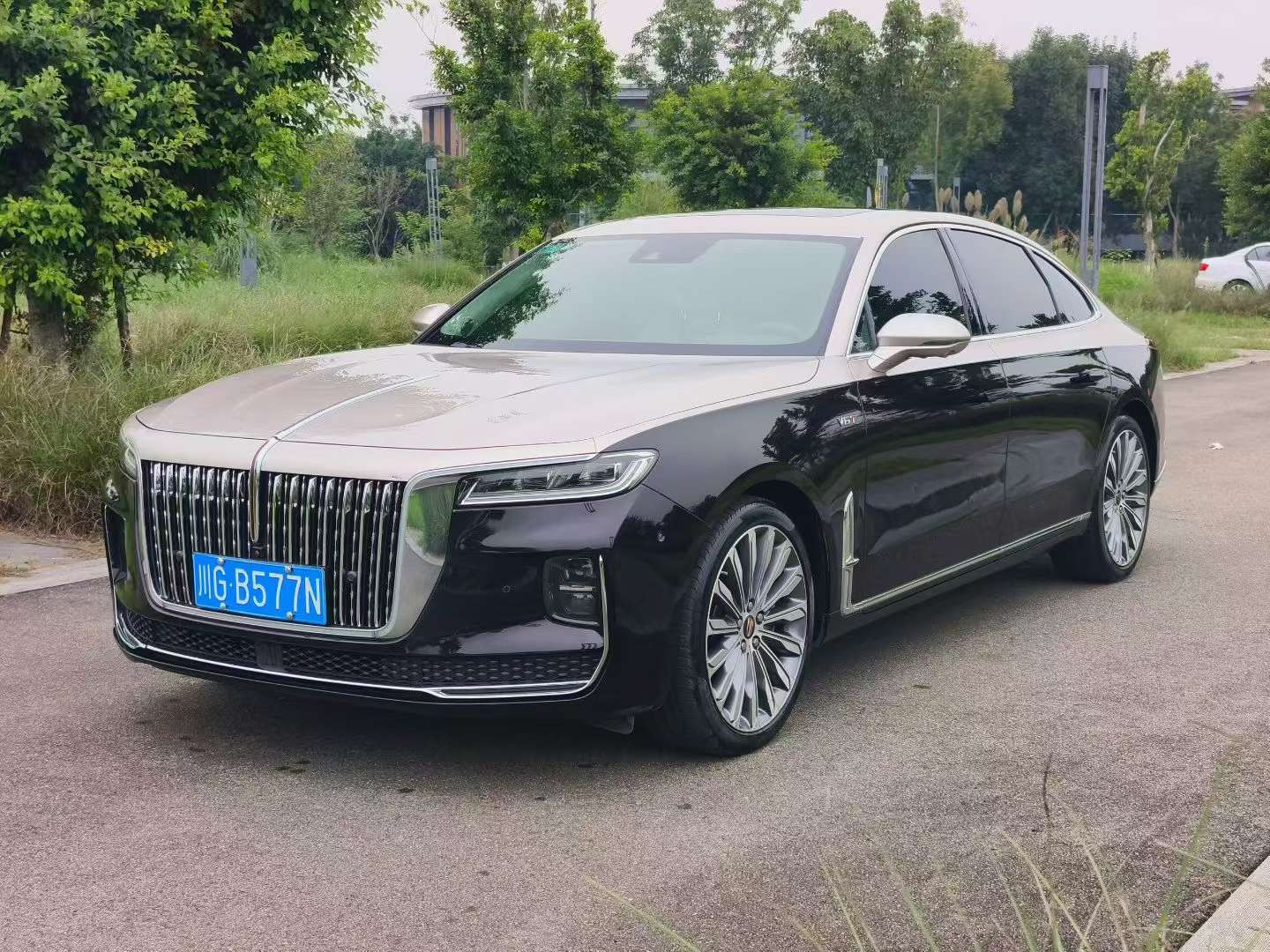 Hongqi H9 2020 3.0T Intelligent Flagship Four-Seat Edition