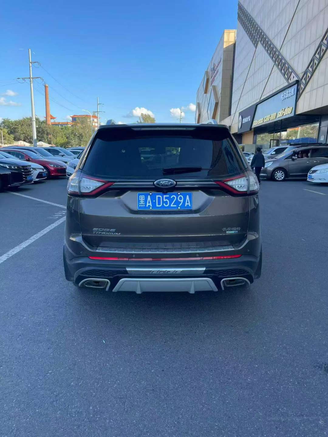 Ford Edge 2016 Special Edition 6