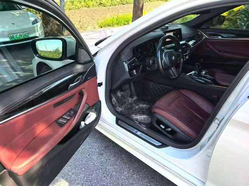BMW 5 Series 2.0T M Sport Package Exclusive 6