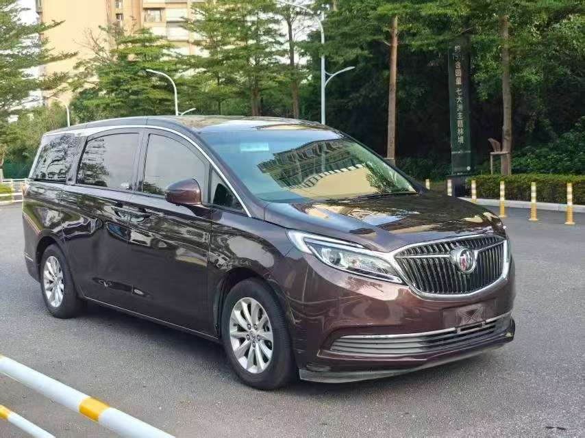 Buick GL8 ES Comfort Edition 2