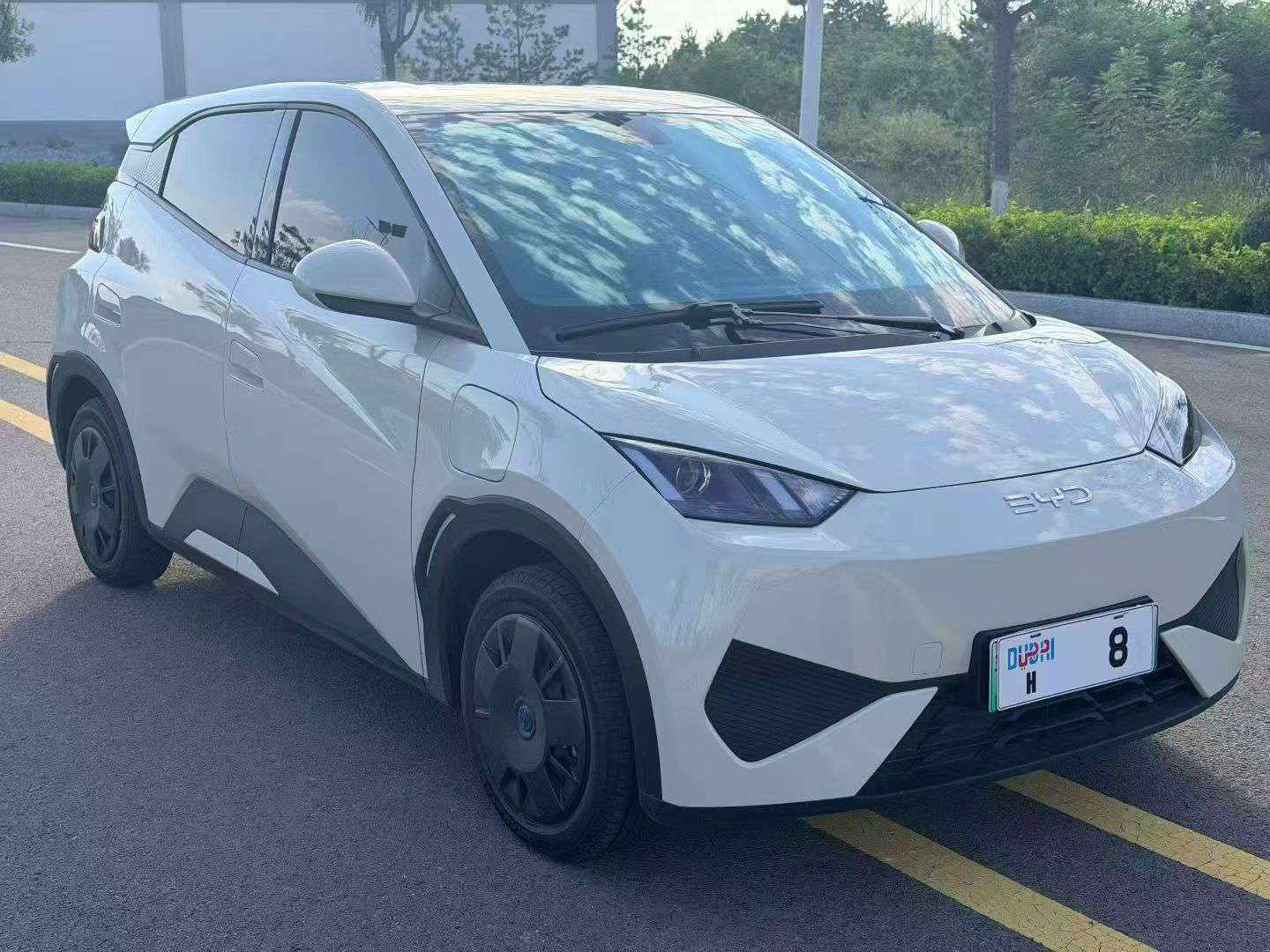 BYD Seagull