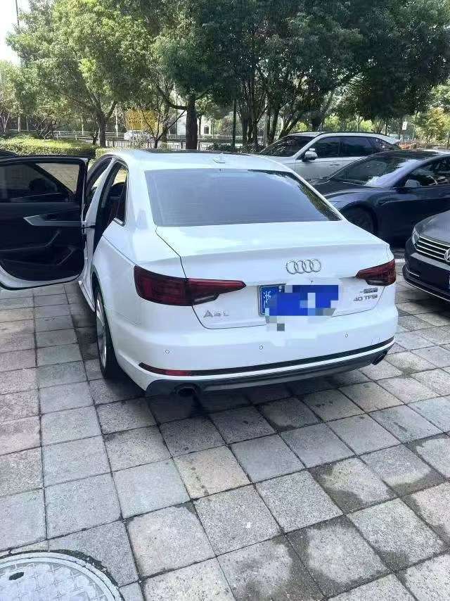 Audi A4L Fashion Trim 2