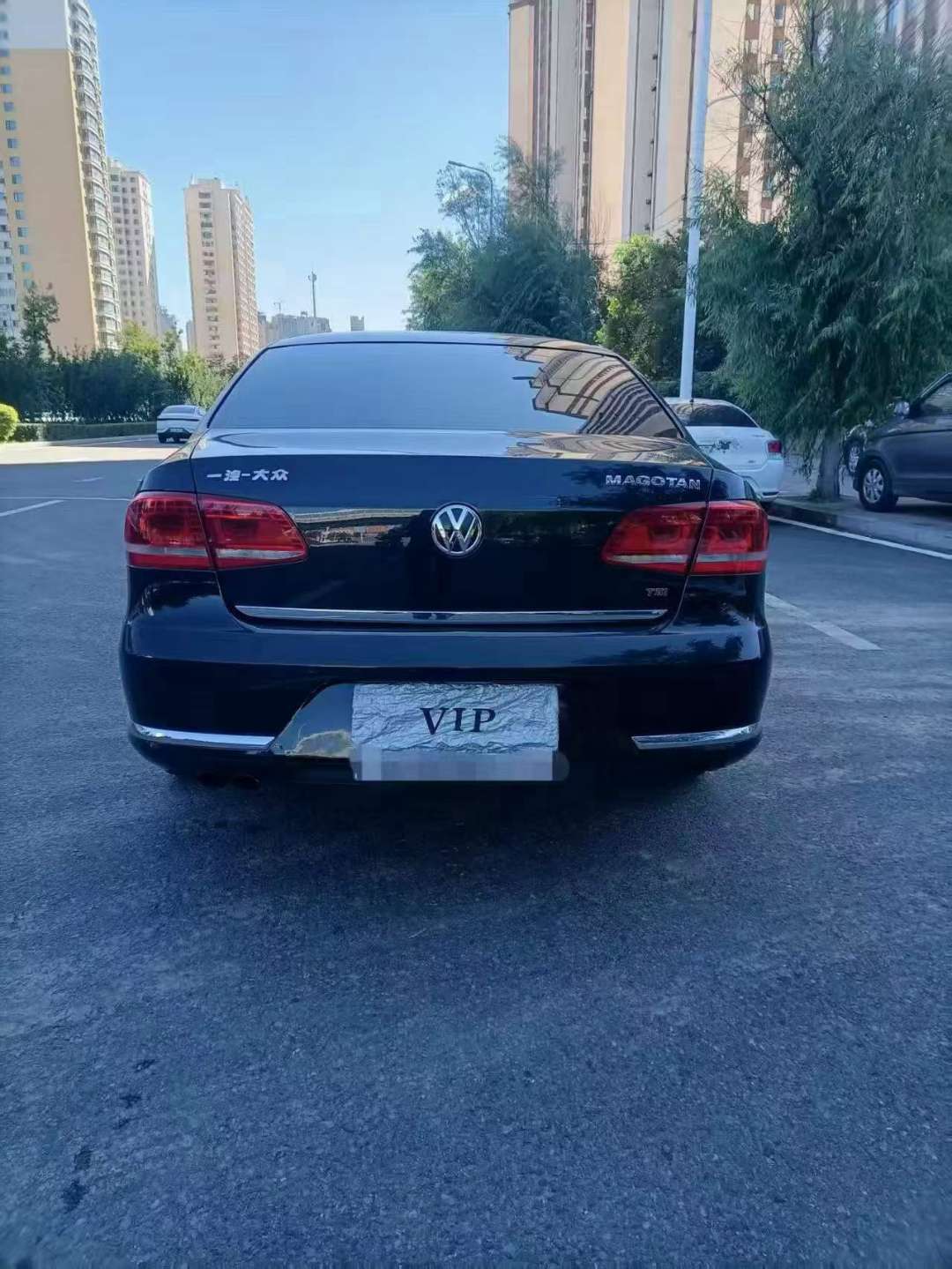 Volkswagen Magotan 1.8T Automatic Luxury Edition 6