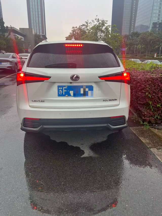 Lexus NX 2019 NX300h 2.5L Automatic Hybrid 3