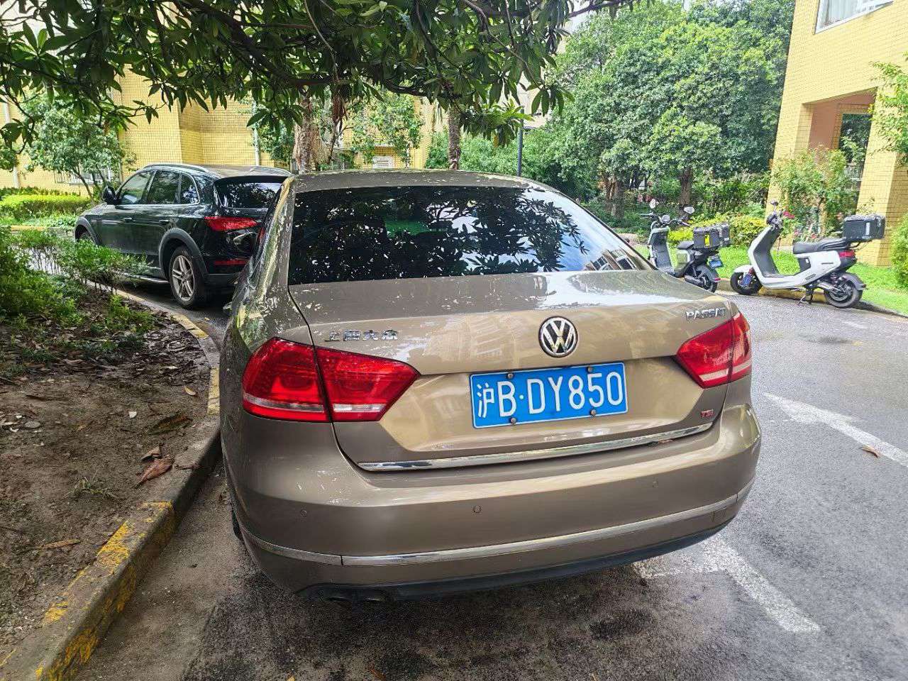 Volkswagen Passat 2.0T Supreme Edition 9