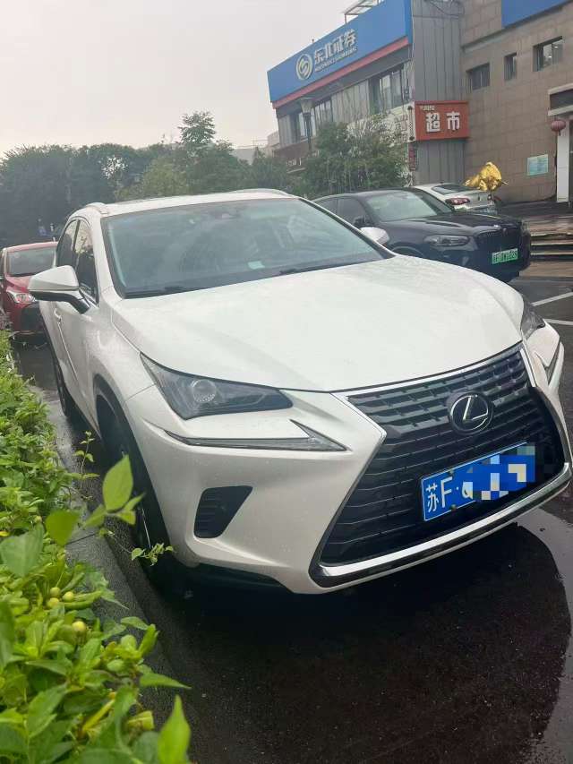 Lexus NX 2019 NX300h 2.5L Automatic Hybrid 2