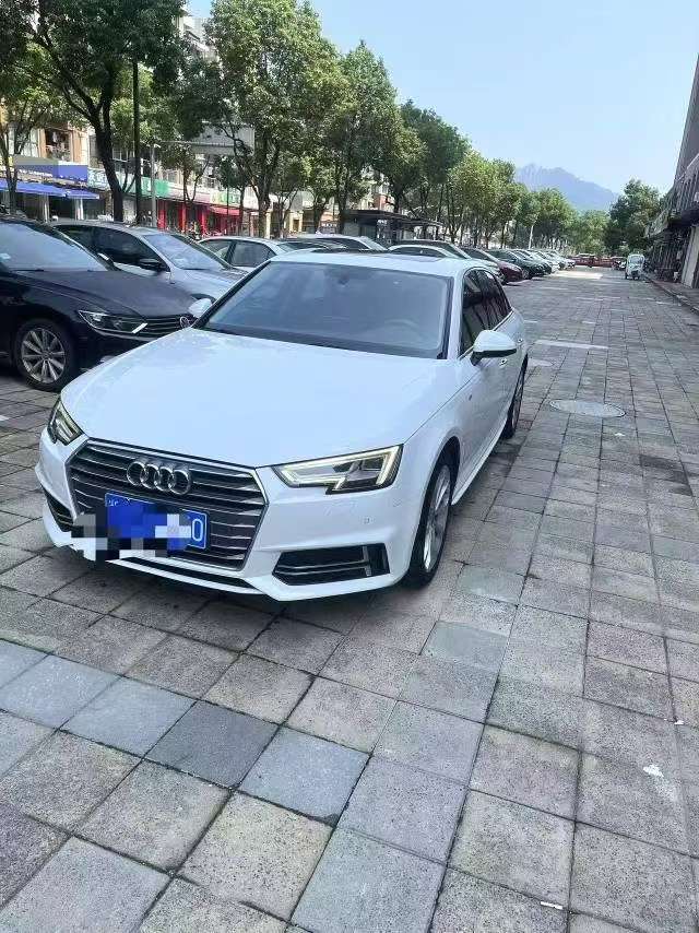 Audi A4L Fashion Trim
