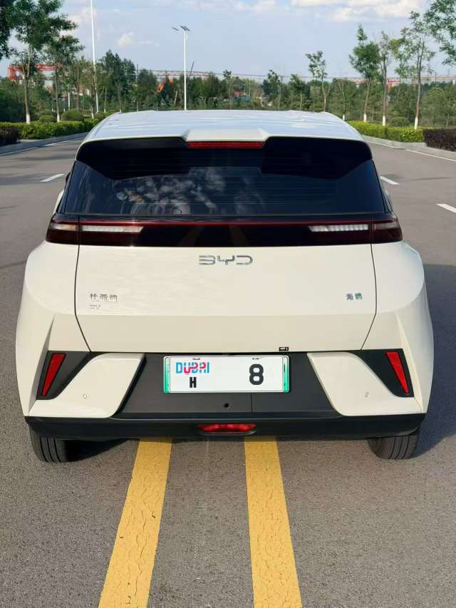 BYD Seagull 8