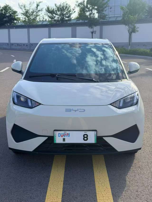 BYD Seagull 2