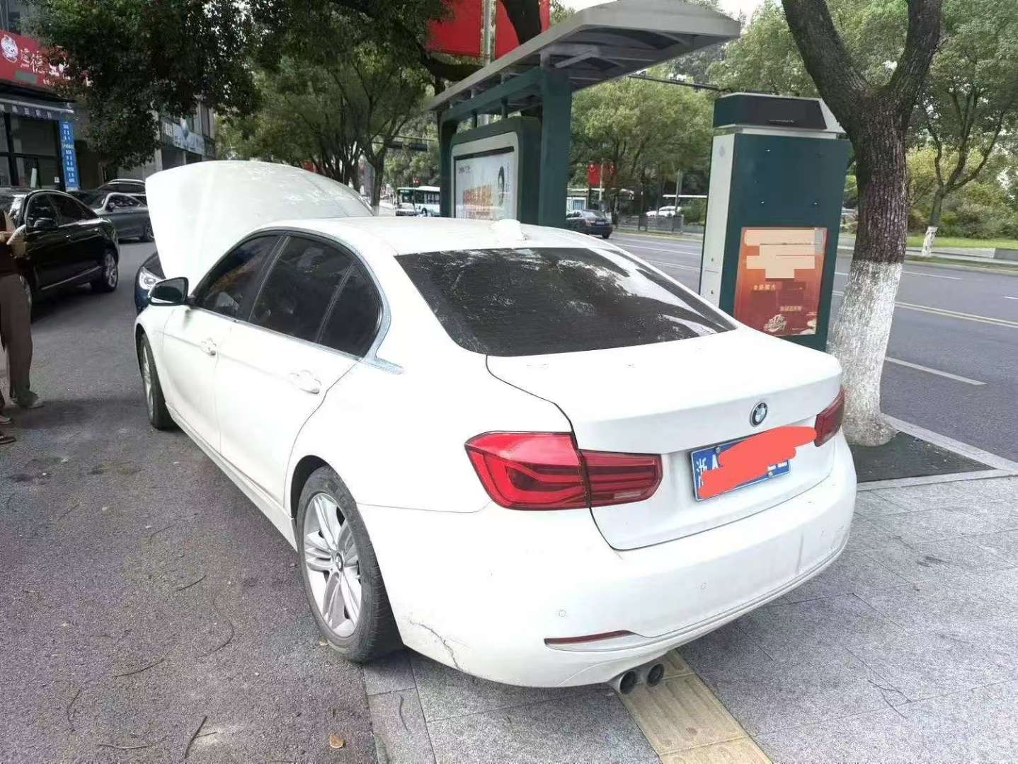 BMW 3 Series 320Li 2.0T Sport 3