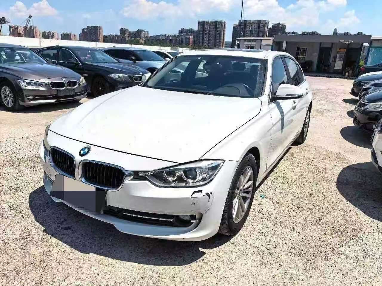 BMW 3 Series 320Li Super Joy Edition Fashion Trim
