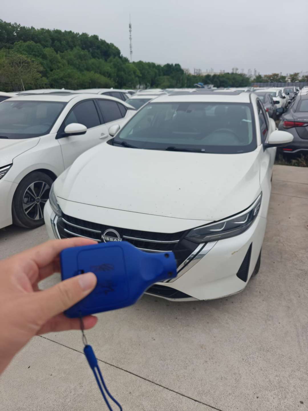 Nissan Sylphy 14th Gen Sylphy