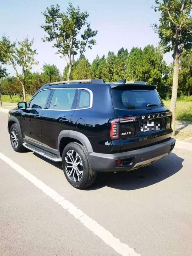 Great Wall Dog 1.5T High Trim 5