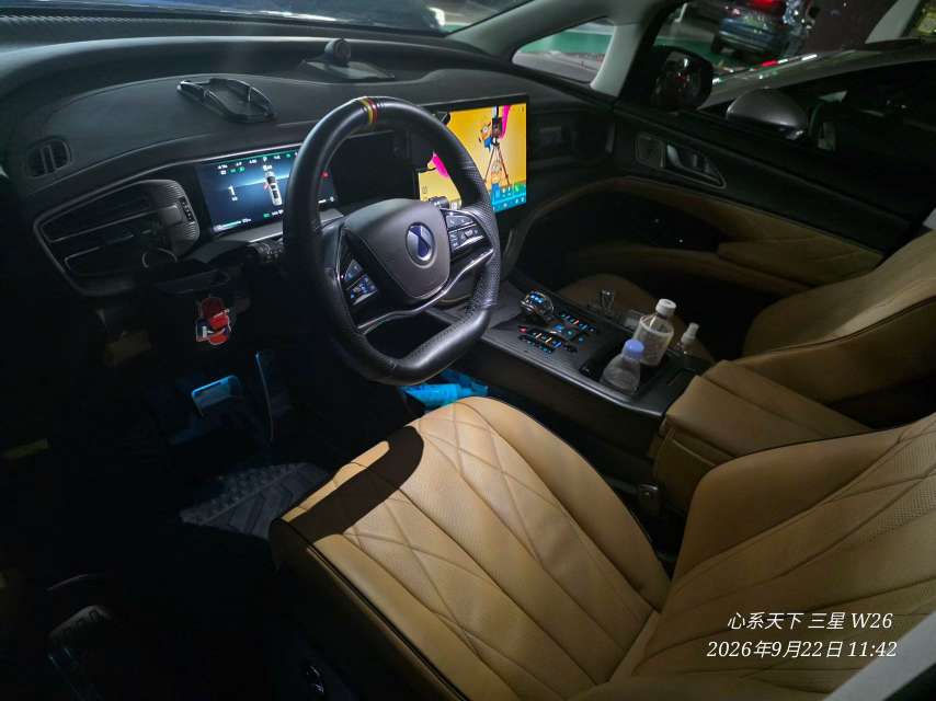 Denza D9 1.5T Premium Edition 3
