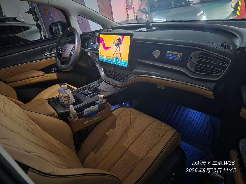 Denza D9 1.5T Premium Edition 4