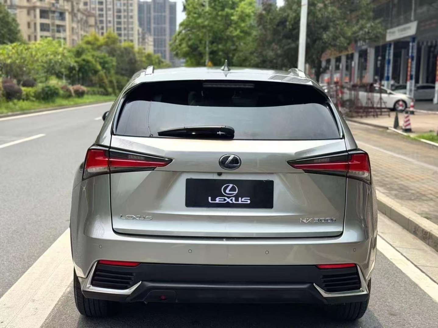 Lexus NX (Import) 2020 NX300h 2.5 CVT Premium 8