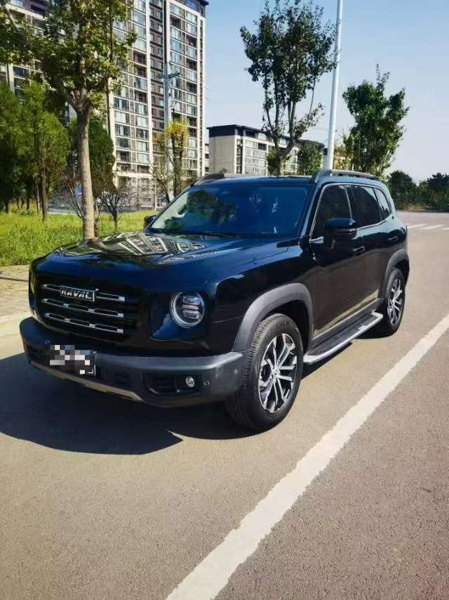 Great Wall Dog 1.5T High Trim 3