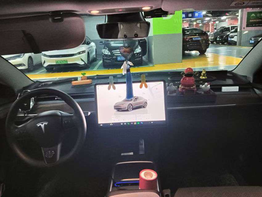 Tesla Model 3 6