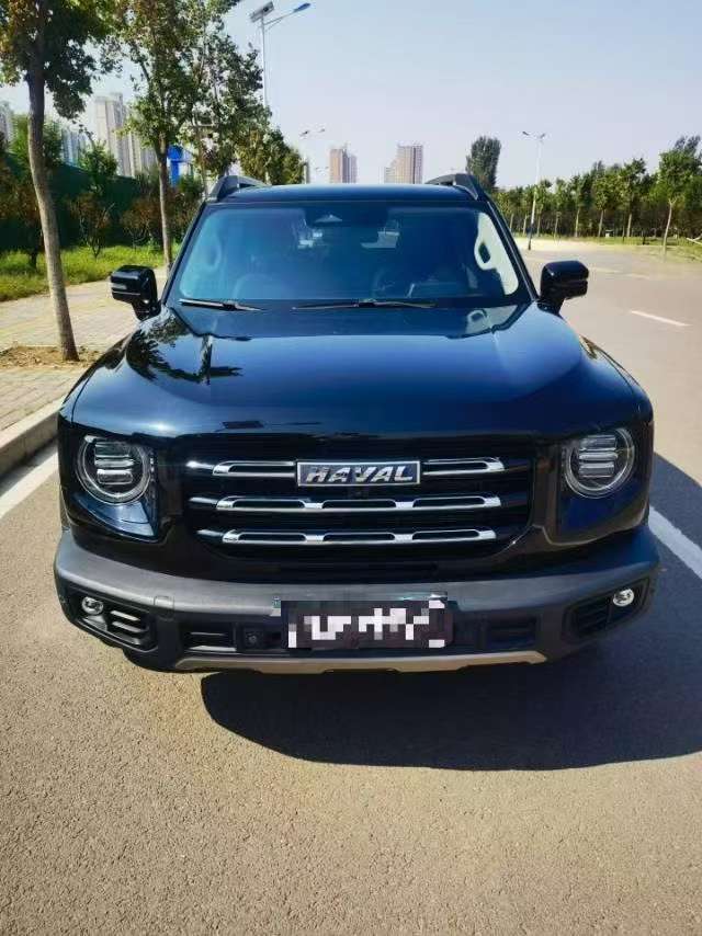 Great Wall Dog 1.5T High Trim