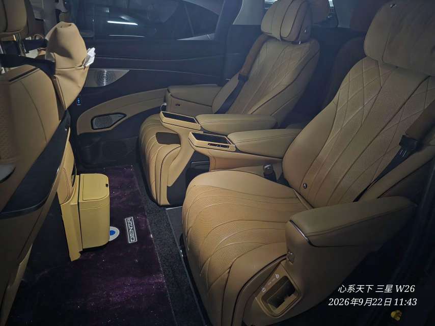 Denza D9 1.5T Premium Edition 5